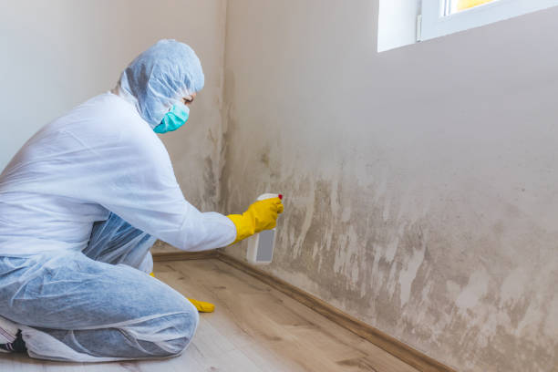 Best Crawl Space Mold Removal  in Man, IL