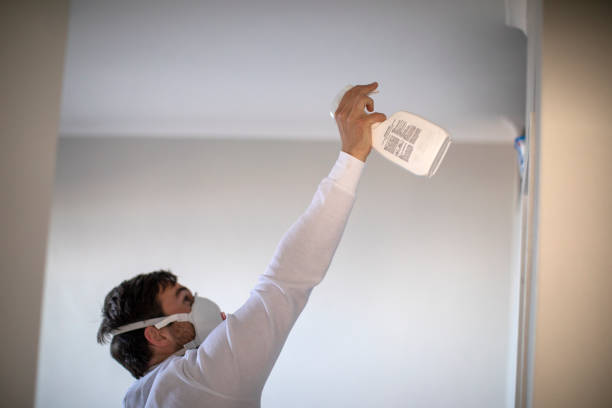  Man, IL Mold Removal Pros