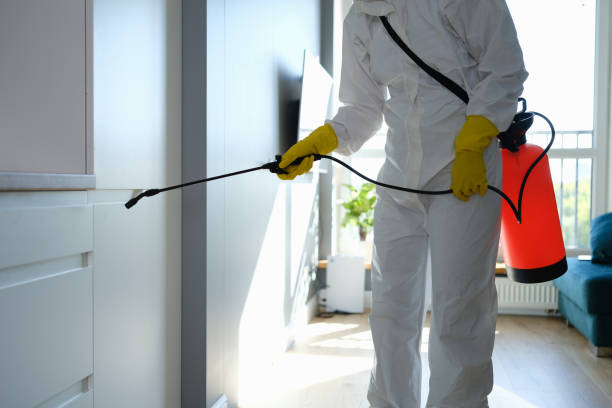 Best Mold Removal and Inspection  in Man, IL